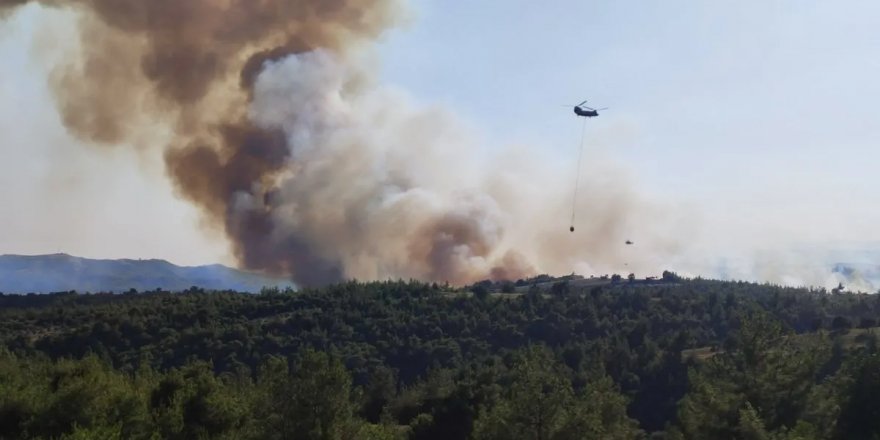 Adana'da çıkan orman yangınına müdahale ediliyor