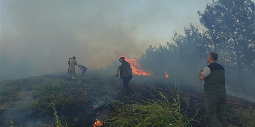 Adana'da çıkan orman yangınına müdahale ediliyor