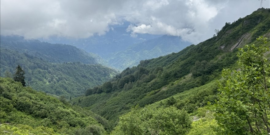 Türkiye'nin tek biyosfer rezerv alanı Camili Havzası kültürel ekolojik gezilerin rotasında