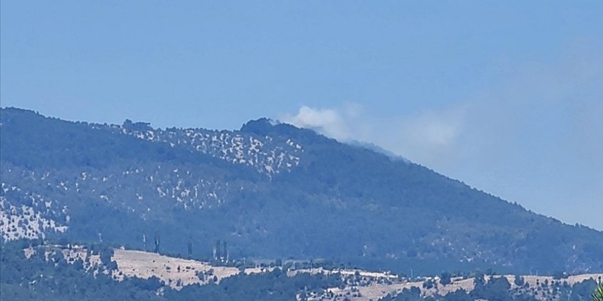 Bursa'da ormanlık alanda çıkan yangına müdahale ediliyor