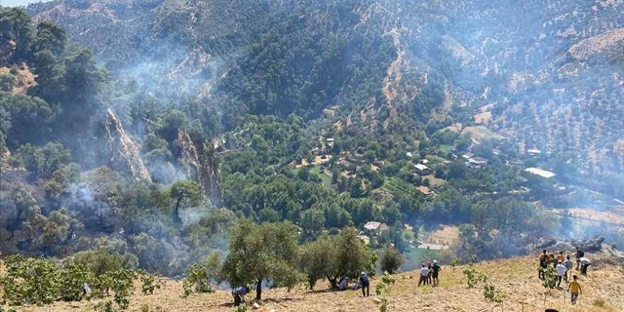 Aydın'da kontrol altına alınan ormanlık ve zeytinlik alandaki yangın yeniden yükseldi