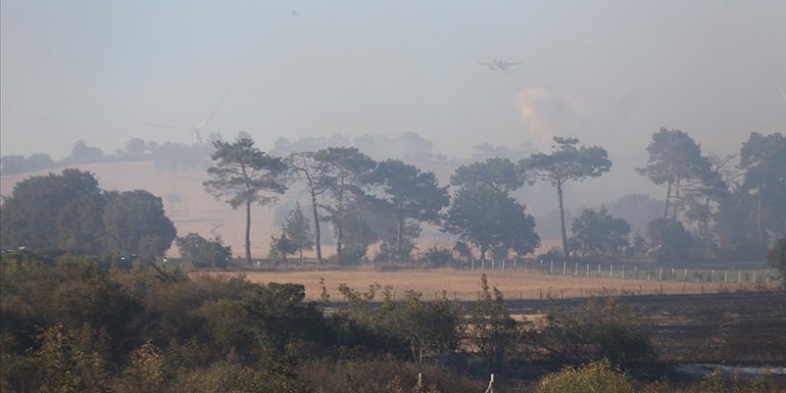 Çanakkale'nin Ayvacık ilçesinde çıkan orman yangını kontrol altına alındı