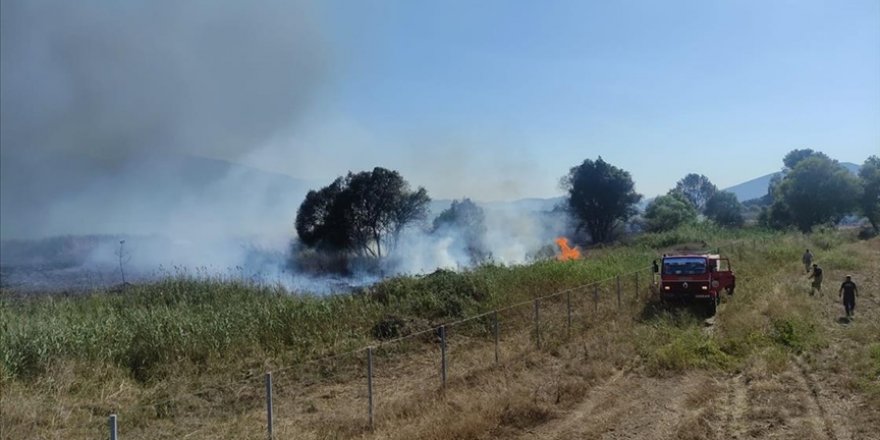 Bursa'da İznik Gölü kıyısındaki sazlık alanda çıkan yangın kontrol altına alındı