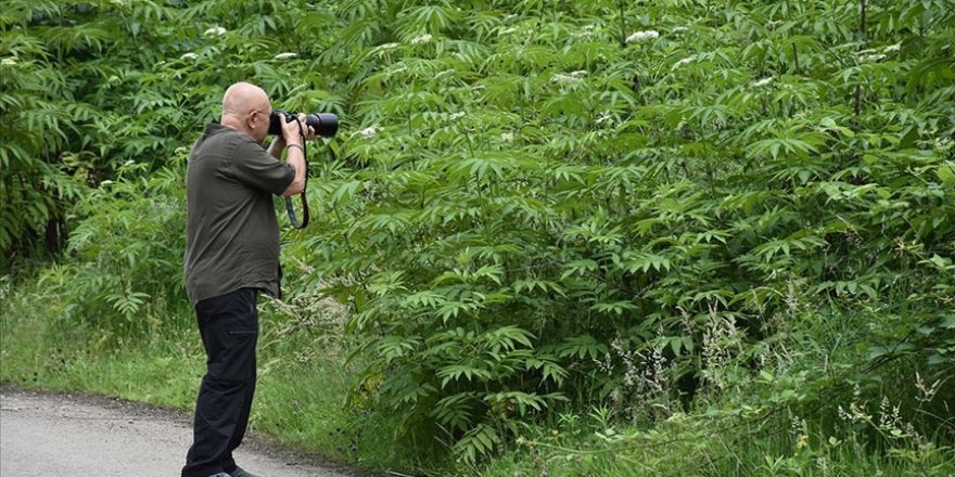 Fotoğraf tutkusuyla 11 yıldır kelebeklerin izini sürüyor