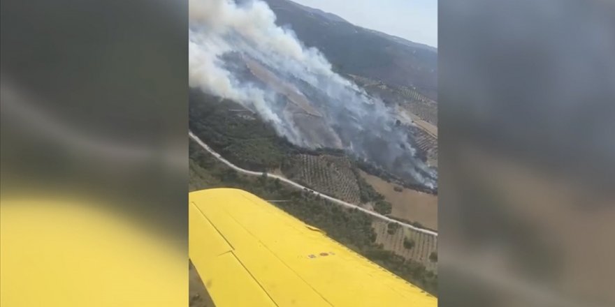 Manisa Salihli'de çıkan orman yangını kontrol altına alındı