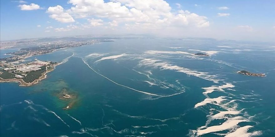 ODTÜ’den kritik tespit: 'Eşik aşıldı, Marmara komada'