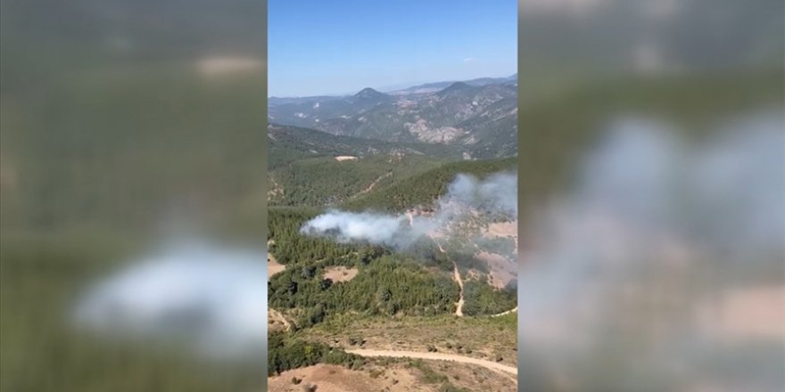 Balıkesir'in Dursunbey ilçesinde çıkan orman yangını kontrol altına alındı