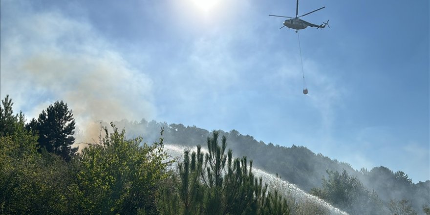 Kütahya'da ormanlık alanda çıkan yangın kontrol altına alındı