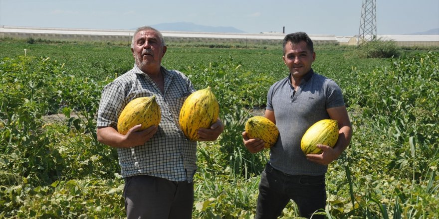 Manisalı çiftçiler yaklaşık 600 ton kavun ve karpuzu ücretsiz dağıttı