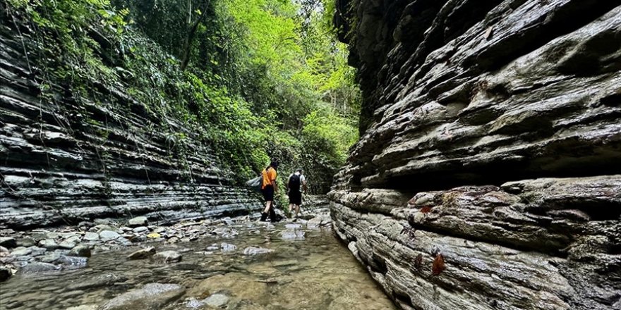 Cevizdibi Kanyonu doğal güzellikleriyle Karadeniz'de turizm rotalarından biri olmaya aday