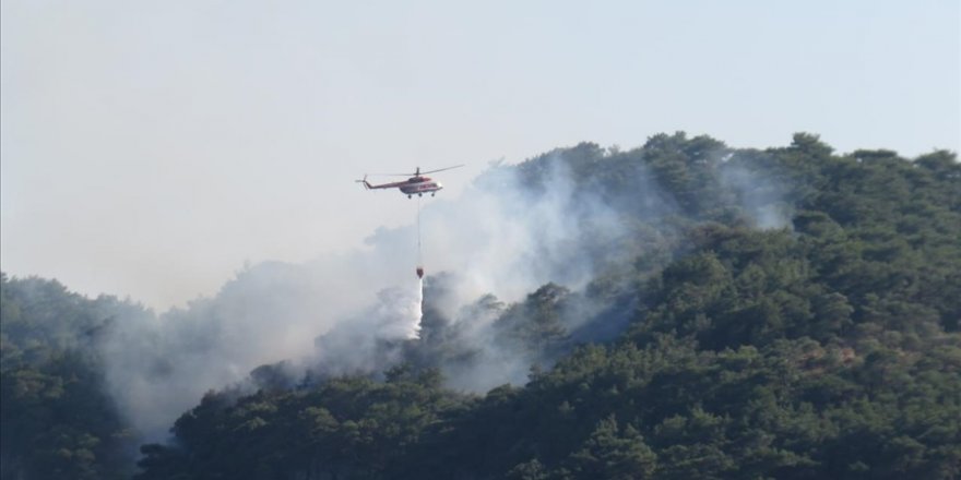 Çanakkale'nin Ayvacık ilçesinde çıkan orman yangını kontrol altına alındı