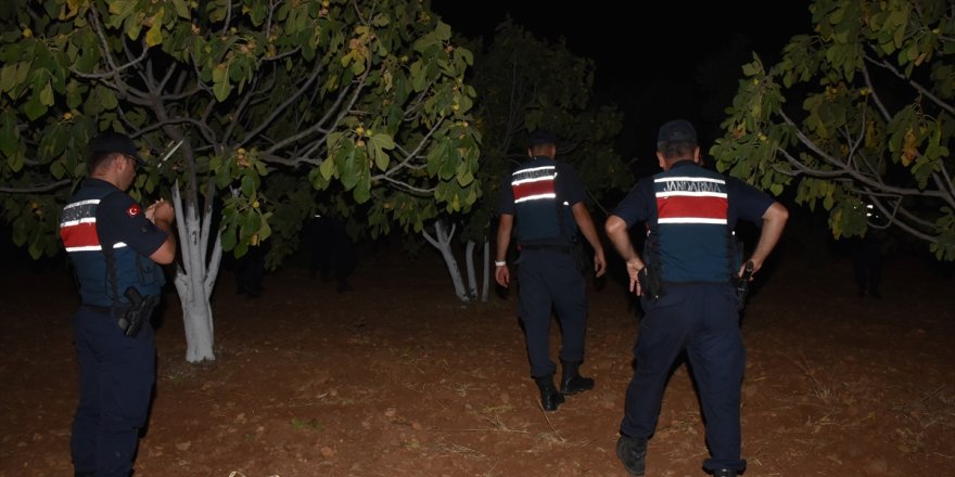 Aydın'da jandarma ekipleri, incir ve zeytin bahçelerindeki hırsızlıkları önlemek amacıyla uygulama yaptı