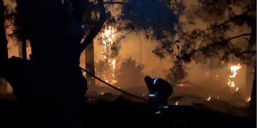 İzmir Karşıyaka'da orman yangını çıktı