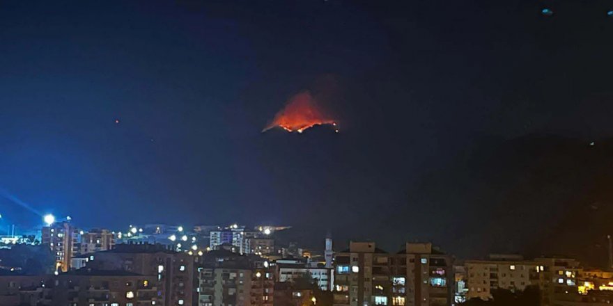 İzmir'in Karşıyaka ilçesinde çıkan orman yangını kontrol altına alındı