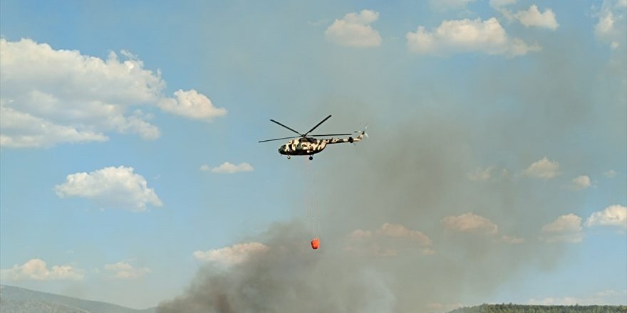 Aydın'da makilik ve zeytinlik alanda çıkan yangın kontrol altına alındı