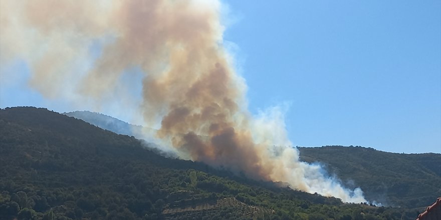 İzmir Ödemiş'te ormanlık alanda çıkan yangına müdahale ediliyor