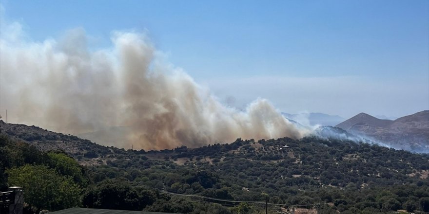 Bodrum'da makilik alandan zeytinliğe sıçrayan yangına müdahale ediliyor