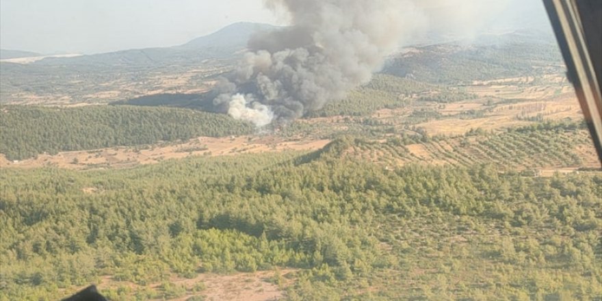 Milas'ta ormanlık alanda çıkan yangına müdahale ediliyor