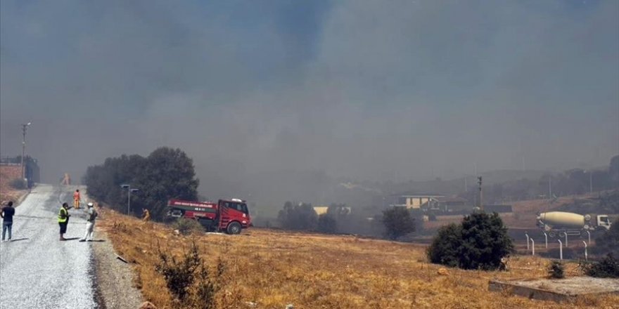 Aydın'da makilik alandaki yangın kontrol altına alındı