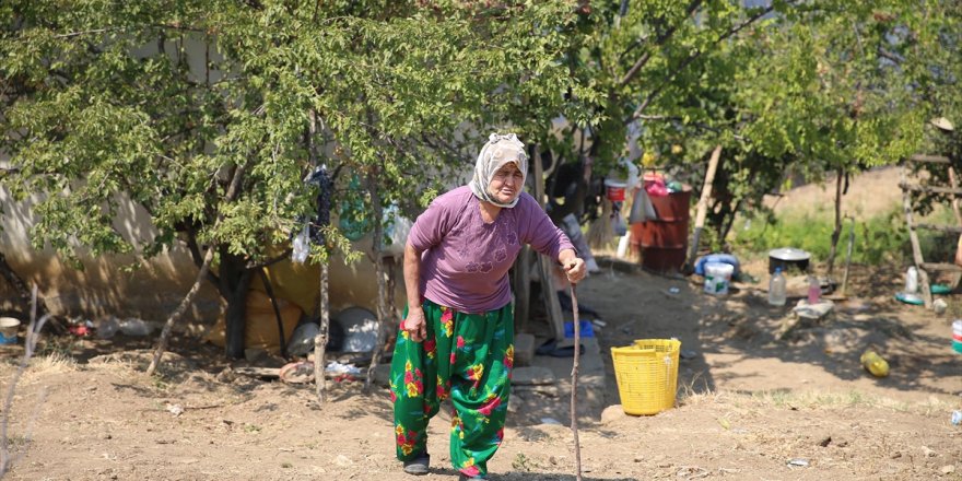 Yaşlı kadın kuru otları temizleyerek evini orman yangınından kurtardı