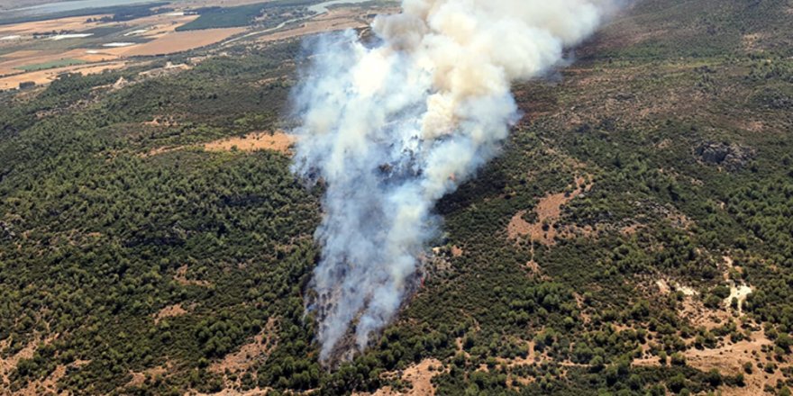 İzmir Menderes'te orman yangını çıktı