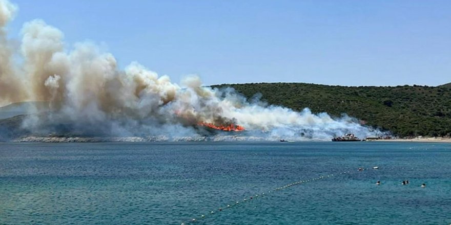 İzmir'in Urla ilçesinde (Balıklıova) makilik alanda yangın çıktı