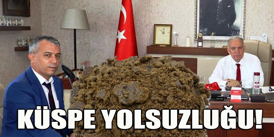 TARİŞ Pamuk Birliği’nde küspe yolsuzluğu patlak verdi