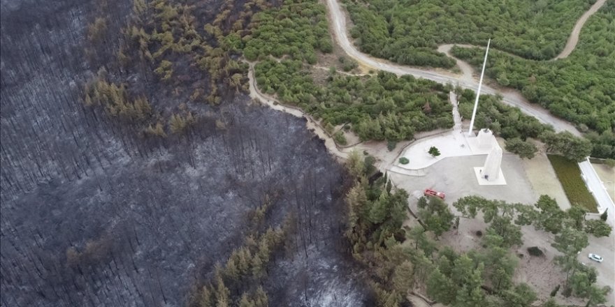 Çanakkale'de yangın nedeniyle girişlerin durdurulduğu Tarihi Alan ziyarete açıldı