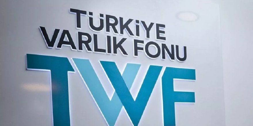 12 şirketin Hazine'ye ait hisseleri Türkiye Varlık Fonu'na aktarıldı