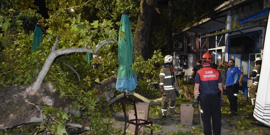 İzmir'de 9 kişi kırılan ağaç dallarının üzerlerine düşmesi sonucu yaralandı