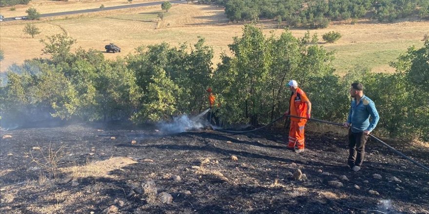 Bingöl'de çıkan orman ve örtü yangınları söndürüldü