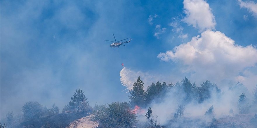 Ankara-Bolu sınırındaki orman yangınıyla ilgili gözaltına alınan şüpheli tutuklandı