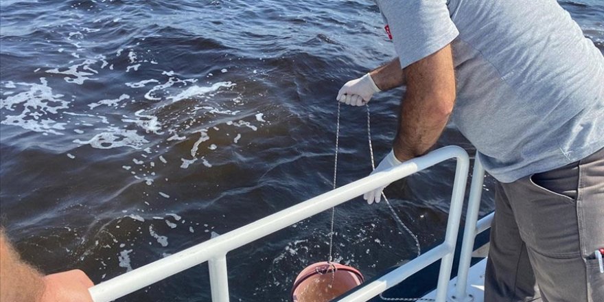 Çevre, Şehircilik ve İklim Değişikliği Bakanlığından İzmir Körfezi'ndeki balık ölümlerine ilişkin inceleme