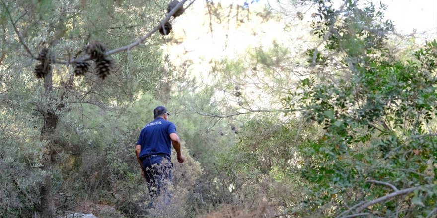 Bodrum'da yaşanabilecek yangına müdahalede nöbet sistemi başlatıldı