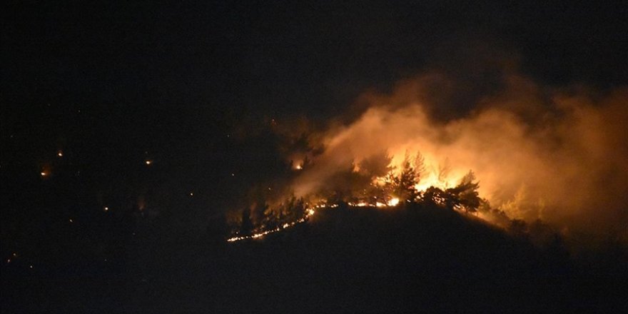 İzmir Kemalpaşa'da çıkan orman yangını kontrol altına alındı