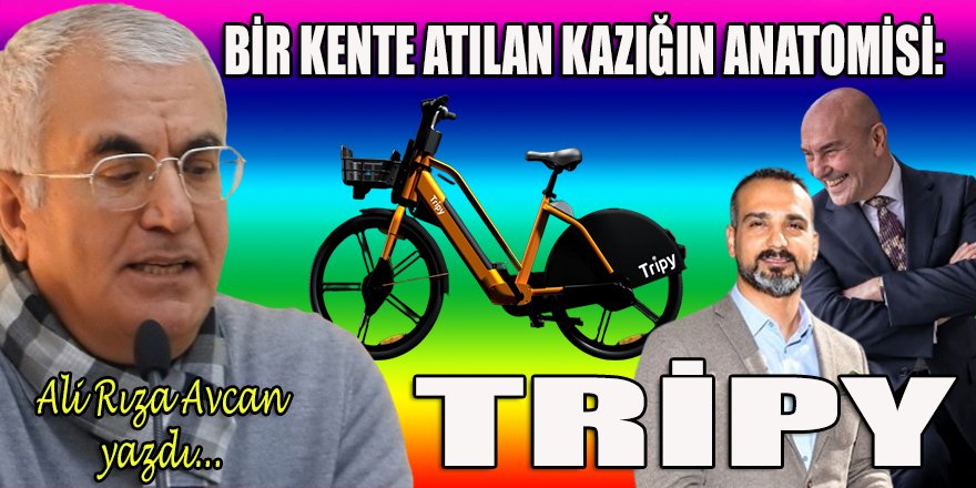 BİSİM’den TRIPY’ye…