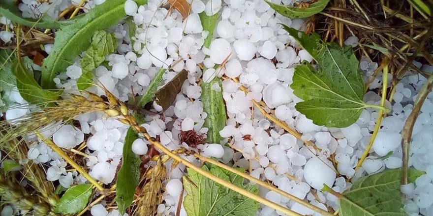 Denizli'de dolu yağışı etkili oldu