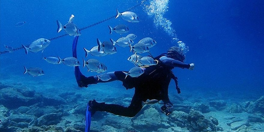 Bodrum, su altı zenginlikleriyle ziyaretçilerini ağırlıyor