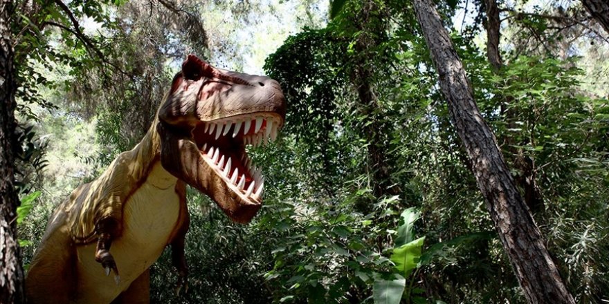 Dinozor temasıyla 1 milyon kişiyi ağırlayan Dinopark'ta bu yıl hedef 60 bin ziyaretçi