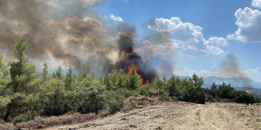 Muğla'da çıkan orman yangını söndürüldü