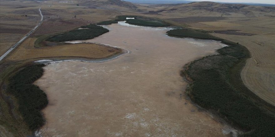 Konya'daki göçmen kuşların uğrak yeri Uyuz Gölü kurudu