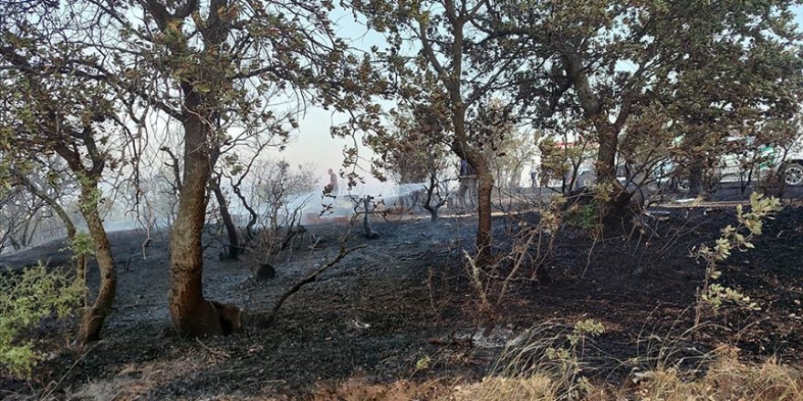 Çanakkale'de tarım arazisinde çıkan yangın kontrol altına alındı