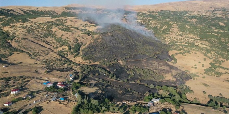 Elazığ'da ormanlık alanda çıkan yangın söndürüldü