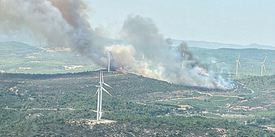 İzmir'in Urla ilçesinde çıkan orman yangın kontrol altında