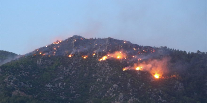 Milas'ta ormanlık alanda çıkan yangına müdahale ediliyor