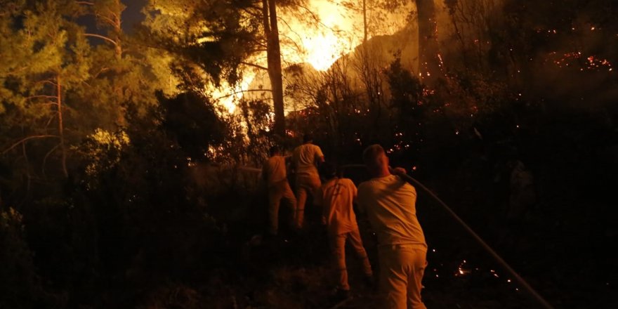 Muğla'da çıkan orman yangınına müdahale gece boyunca devam etti