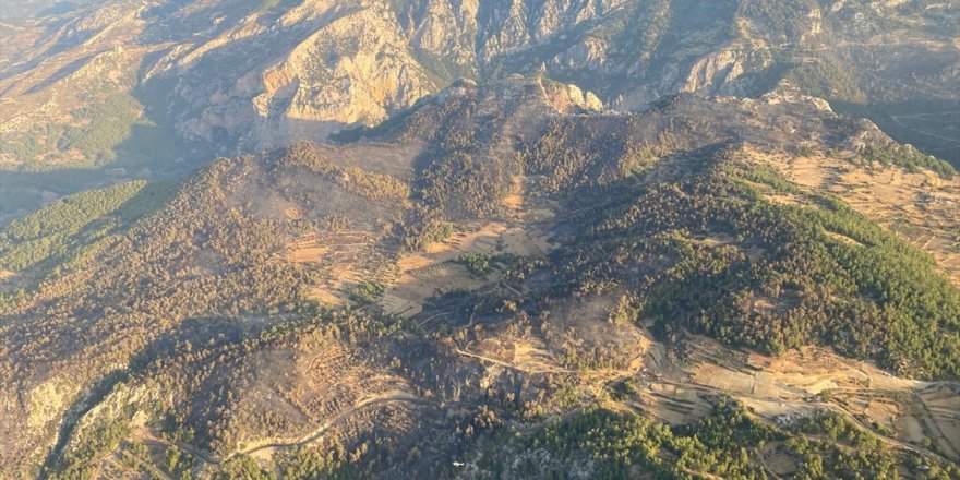 Muğla'da çıkan orman yangını kontrol altına alındı