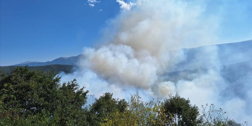 Tokat'ta çıkan örtü yangınında 20 dönüm alan zarar gördü