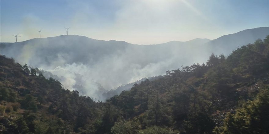 Hatay'da ormanlık alandaki yangına müdahale ediliyor