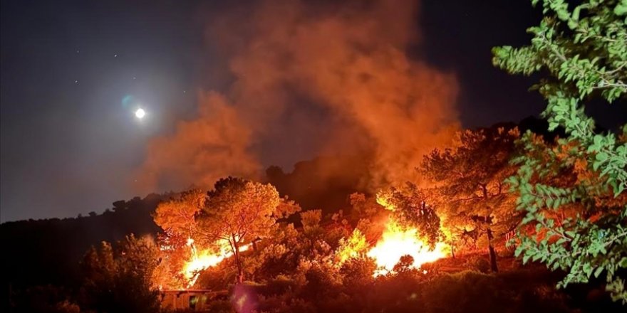 Hatay'da çıkan orman yangını söndürüldü